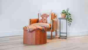 Highland cow pillow on chair